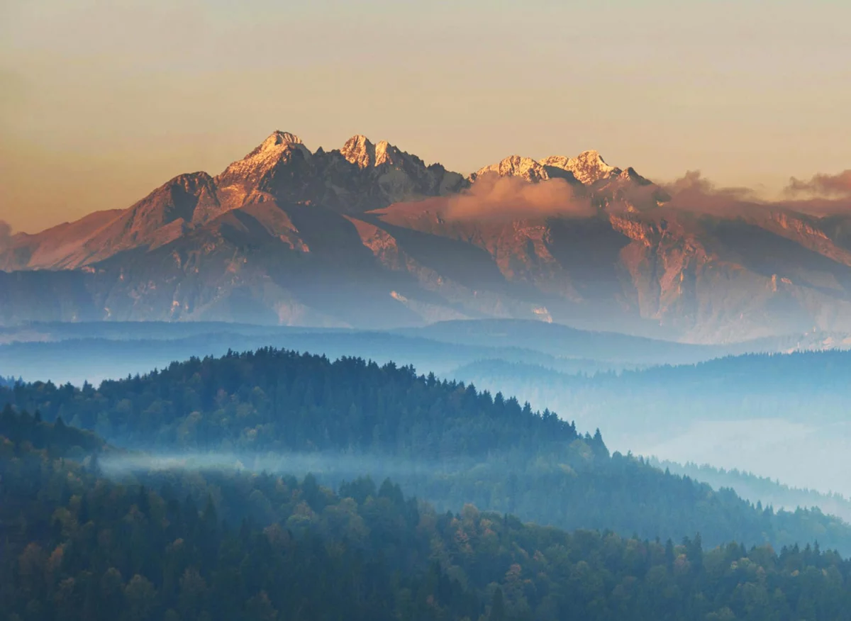 Cała Prawda O Tym Jak wypożyczyć meble (a Której Sprzedawcy Ci Nie Powiedzą)