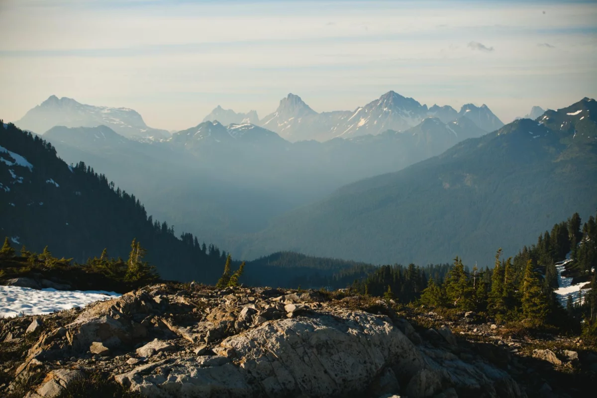 Ikke engang tenk på å kjøpe høydejusterbare skrivebord før du har lært disse 10 måtene.