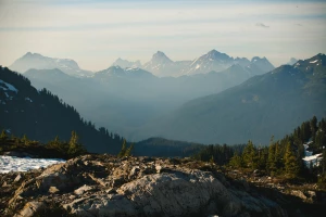 8 Zaskakująco Skutecznych Sposobów Aby stworzyć ładny dom i ogród